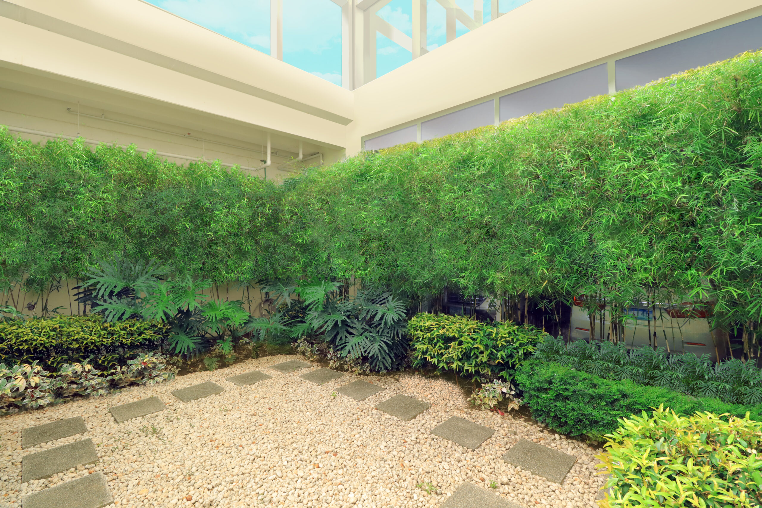 Landscaped Courtyard (1)